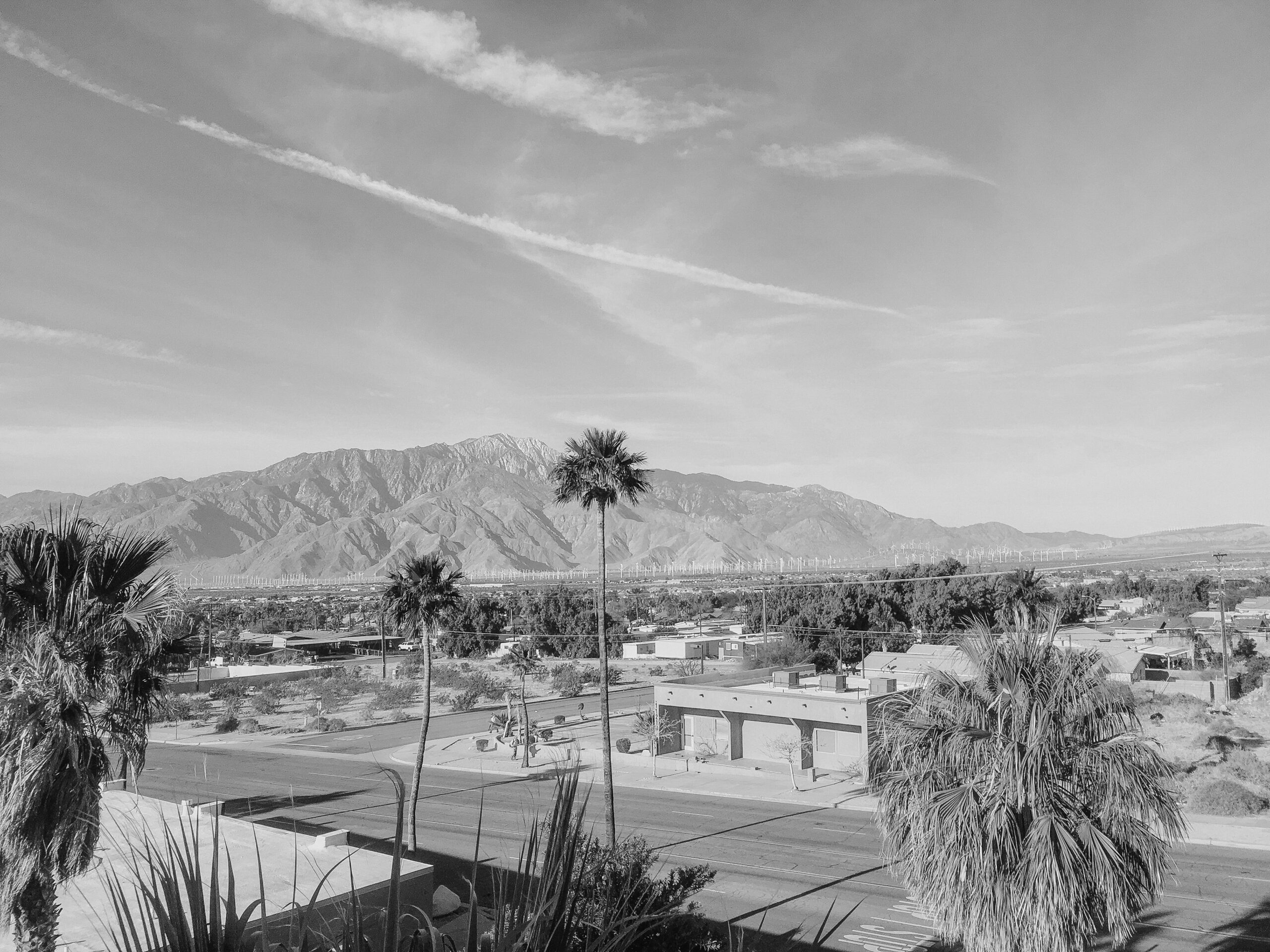 Fine Art Shipping Palm Desert