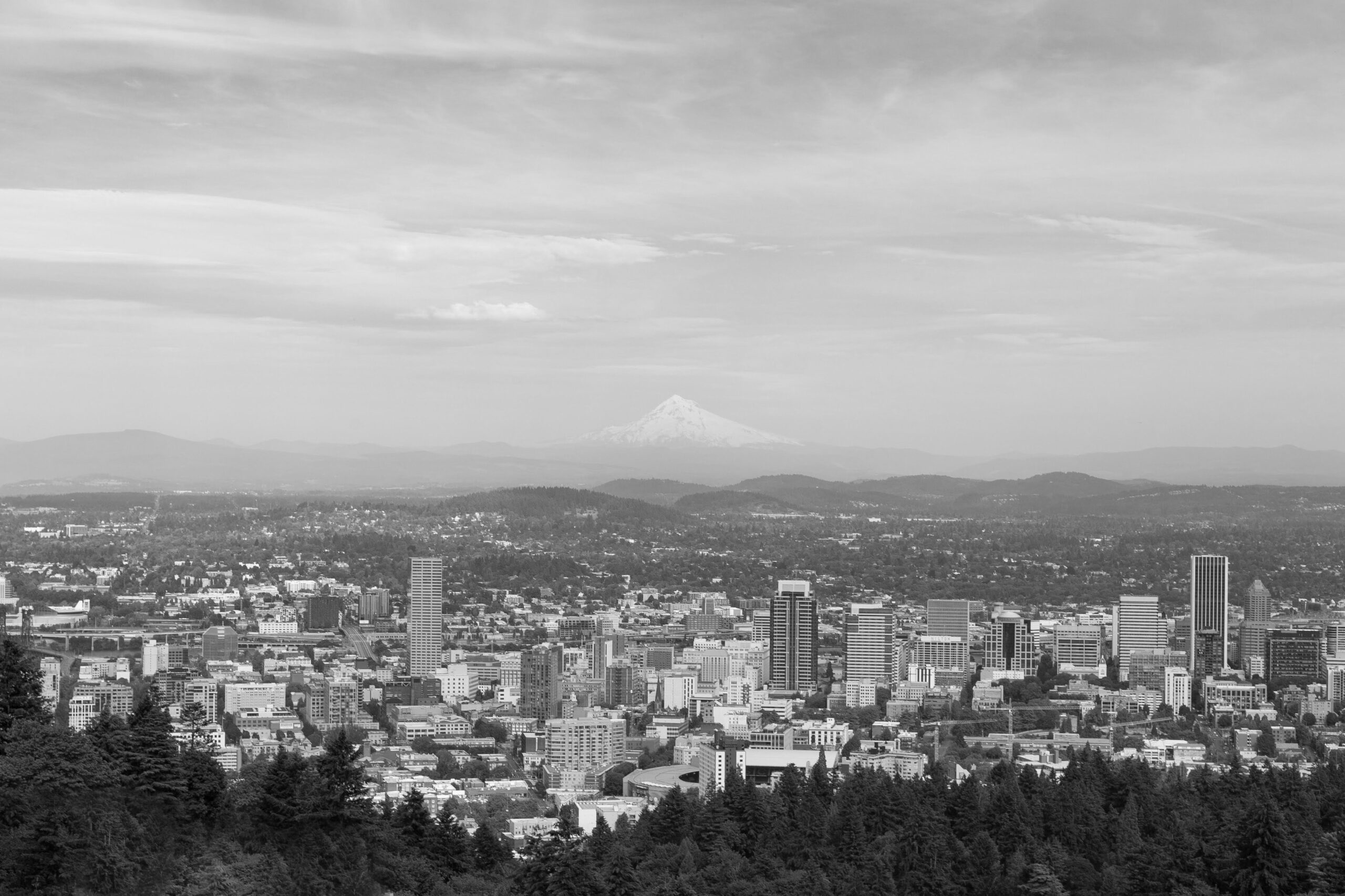 Fine Art Shipping Portland